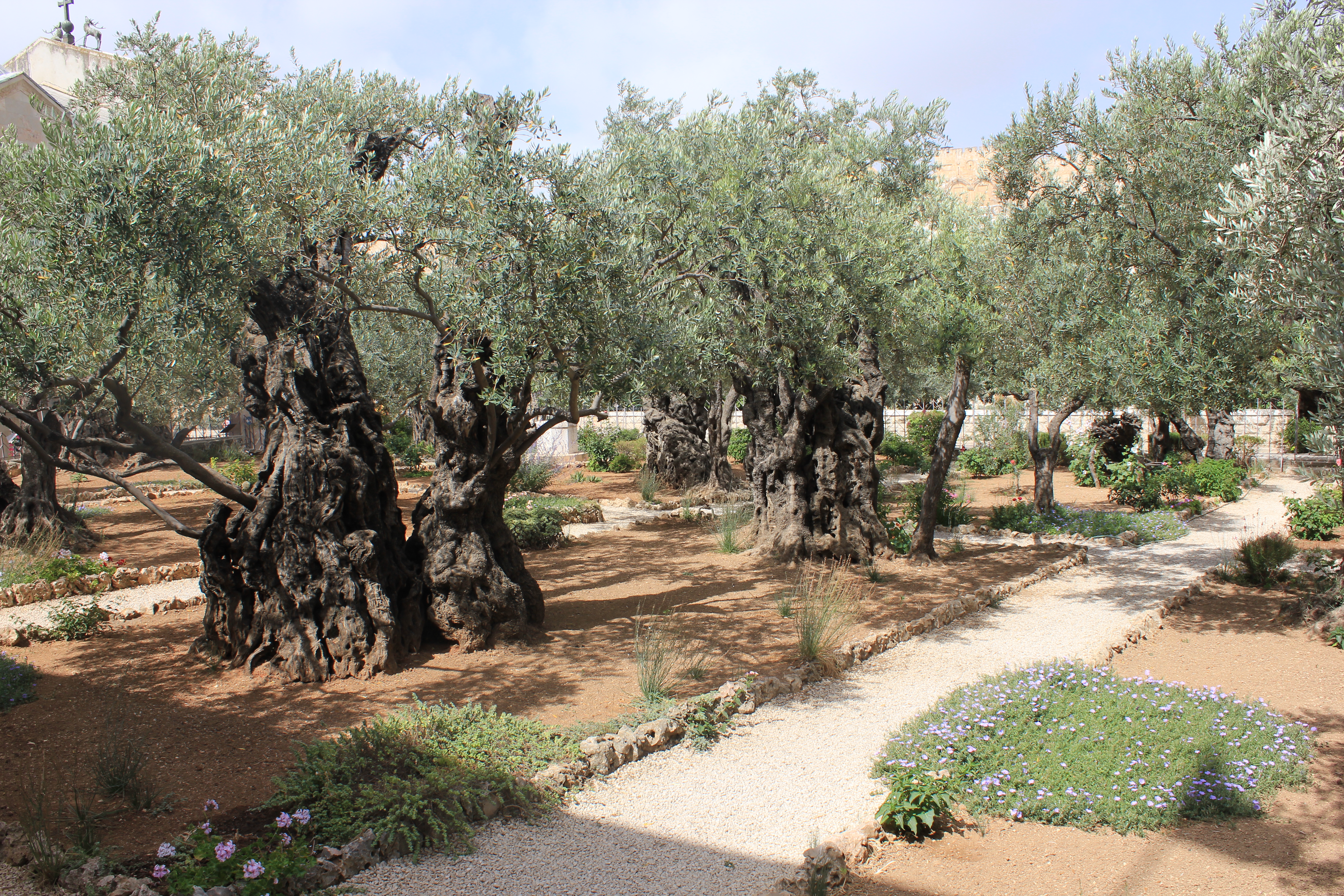 Jesus Pressed At The Garden Of Gethsemane The Pastor S Blog